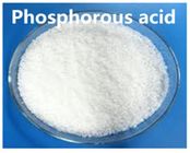 CAS nessun iso solido cristallino 9001 CINA della polvere del granello dell'acido fosforoso 13598 36 2